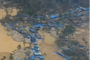Les mines clandestines sont responsables d'une recrudescence de la déforestation en Amazonie péruvienne ©Andrés Huby